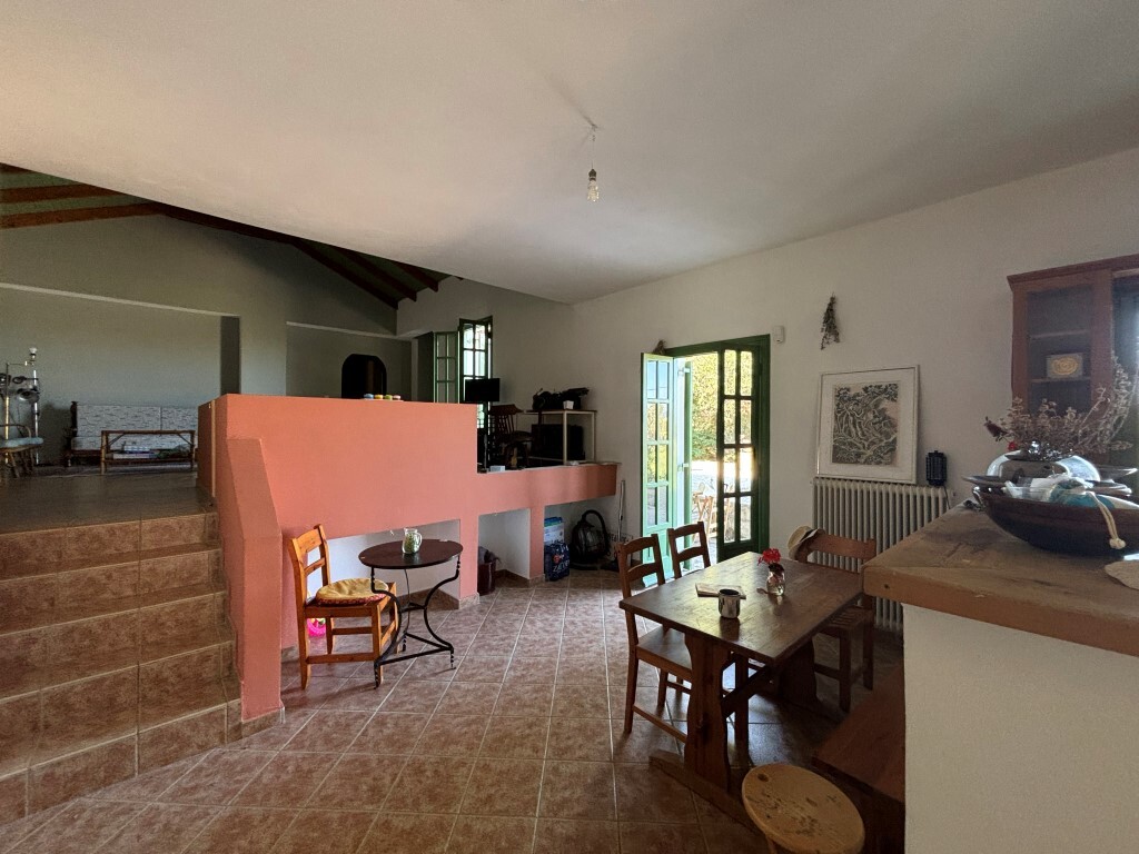 Detached house in Artemisio, Zante, Greece – 61590