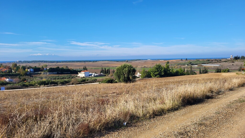 Land in Kassandra, Chalkidiki, Greece – 61589