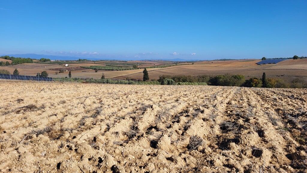 Land in Kassandra, Chalkidiki, Greece – 61589