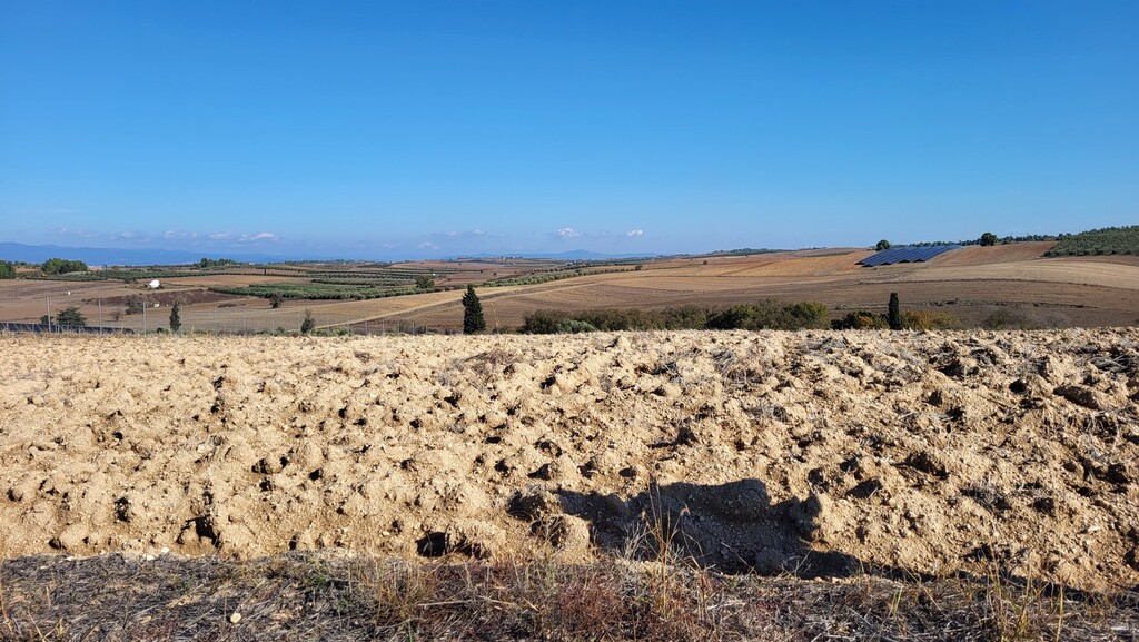 Land in Kassandra, Chalkidiki, Greece – 61589