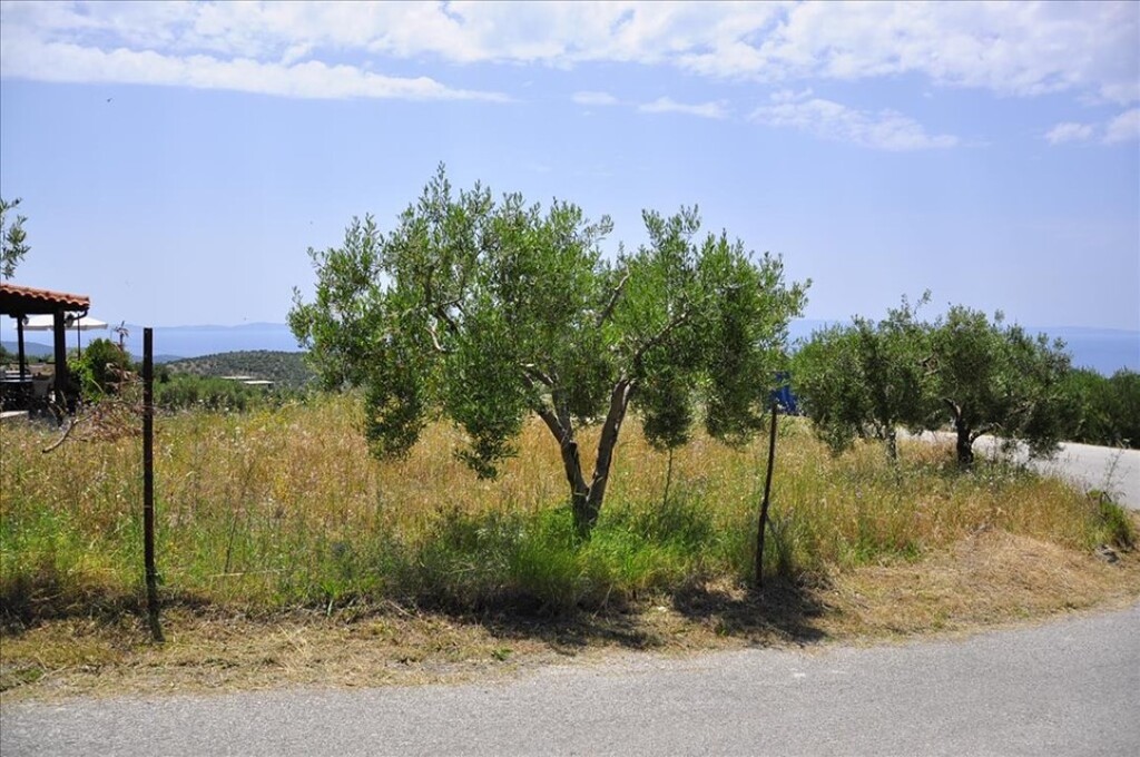 Land in Sithonia, Chalkidiki, Greece – 61587