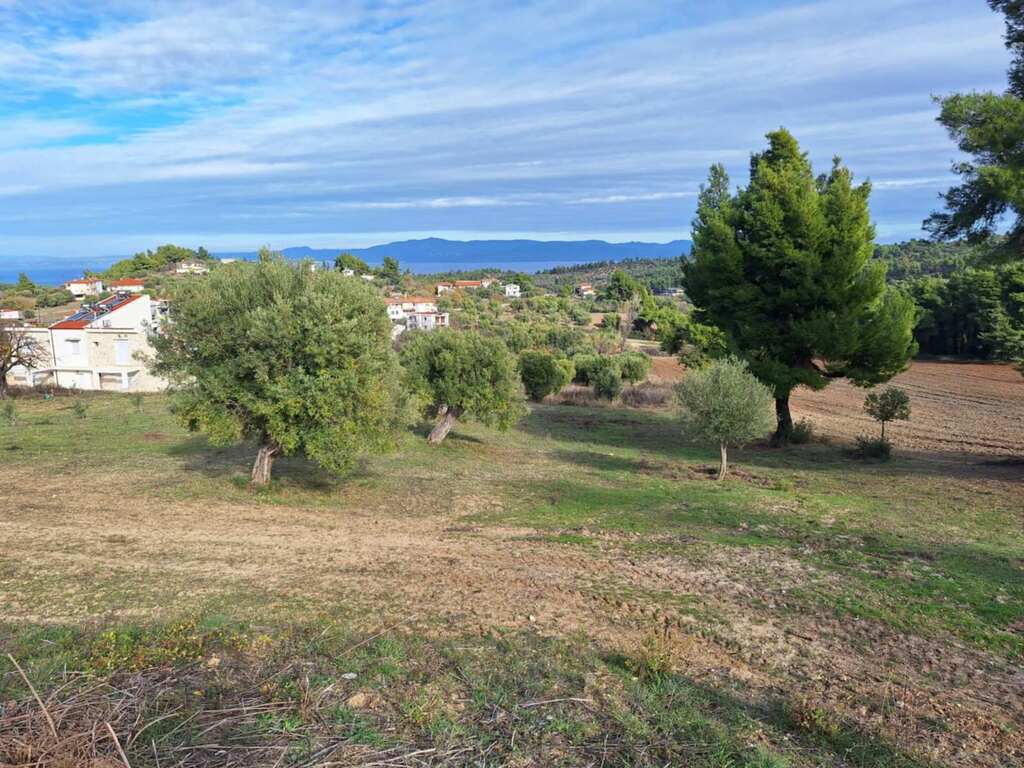 Land in Kassandra, Chalkidiki, Greece – 61529