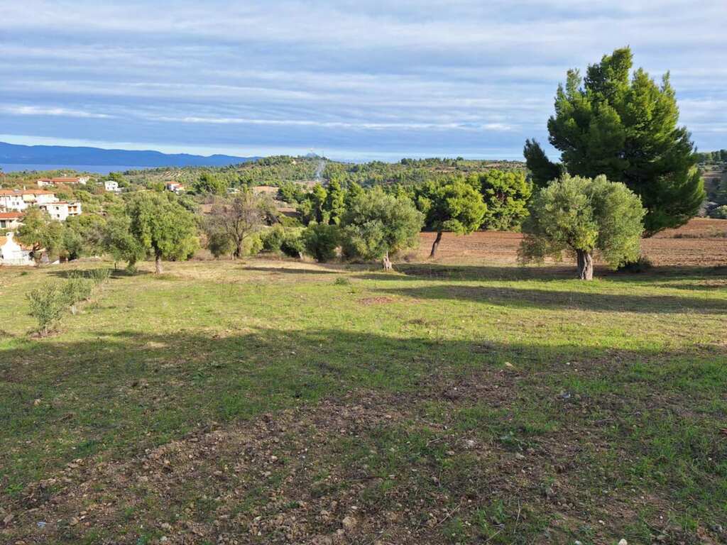 Land in Kassandra, Chalkidiki, Greece – 61529
