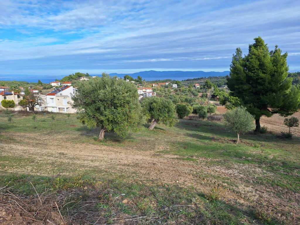 Land in Kassandra, Chalkidiki, Greece – 61529
