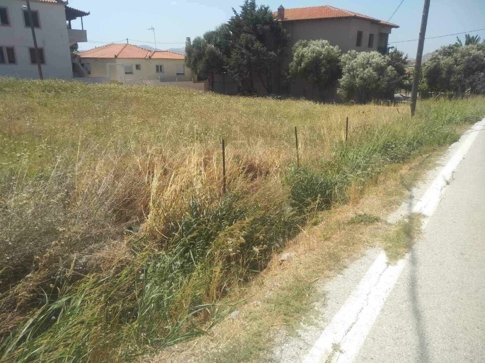 Land in Limnos – Nea Koutali, Lesvos Prefecture, Greece – 61484