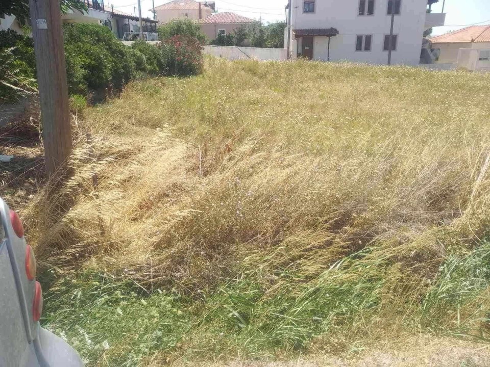 Land in Limnos – Nea Koutali, Lesvos Prefecture, Greece – 61484
