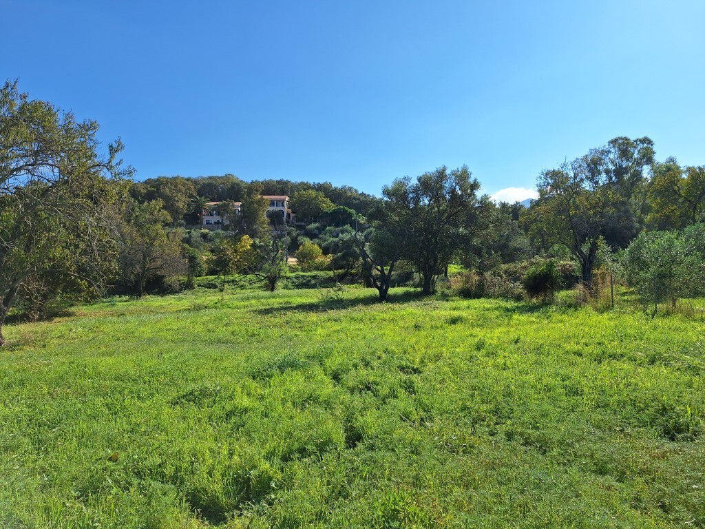 Land in Corfu, Corfu Prefecture, Greece – 61456