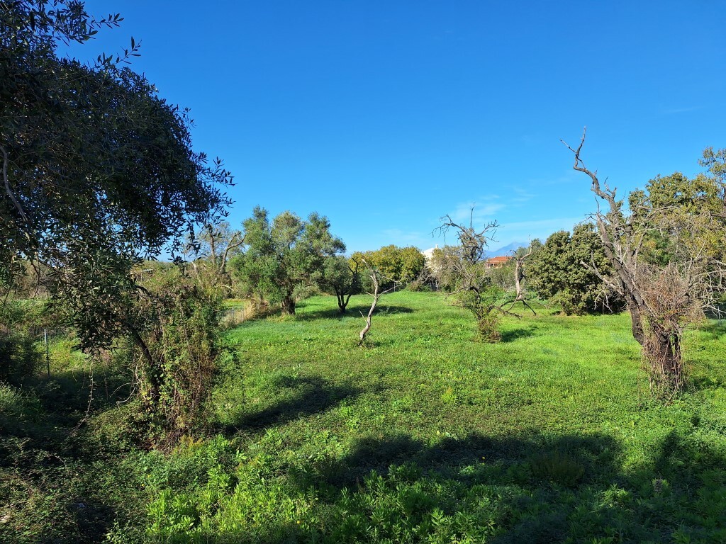 Land in Corfu, Corfu Prefecture, Greece – 61456