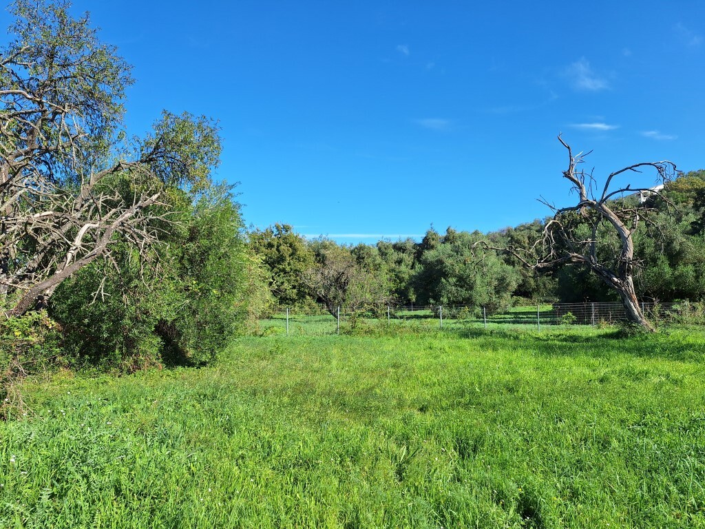 Land in Corfu, Corfu Prefecture, Greece – 61456