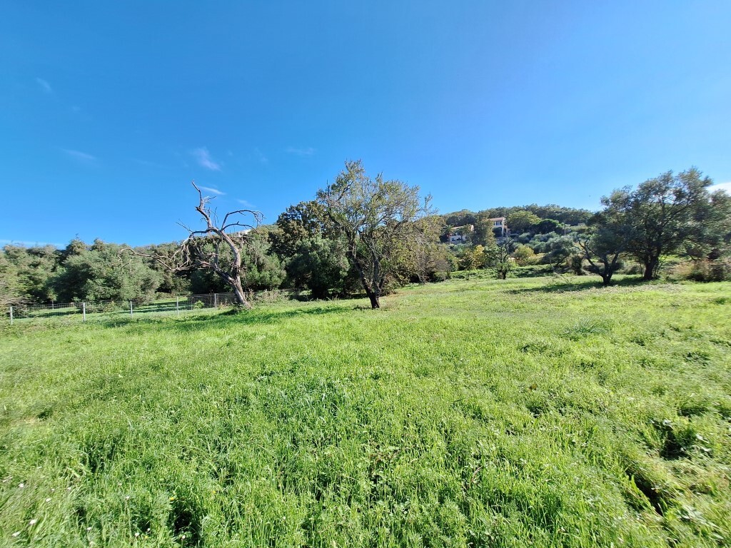 Land in Corfu, Corfu Prefecture, Greece – 61456