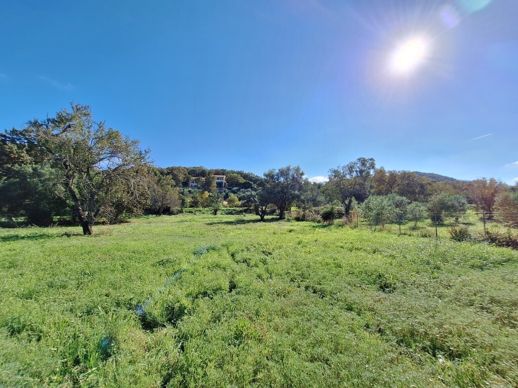 Land in Corfu, Corfu Prefecture, Greece – 61456