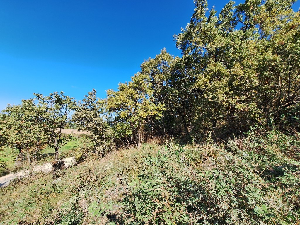 Land in Corfu, Corfu Prefecture, Greece – 61454