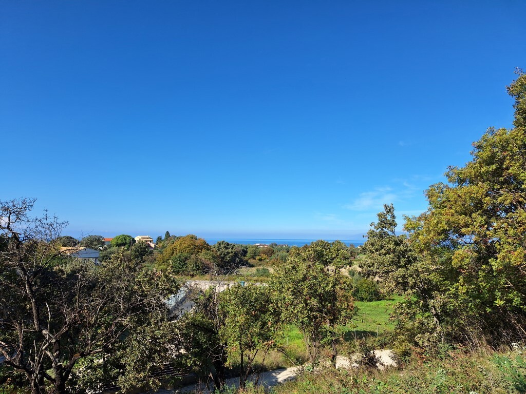 Land in Corfu, Corfu Prefecture, Greece – 61454