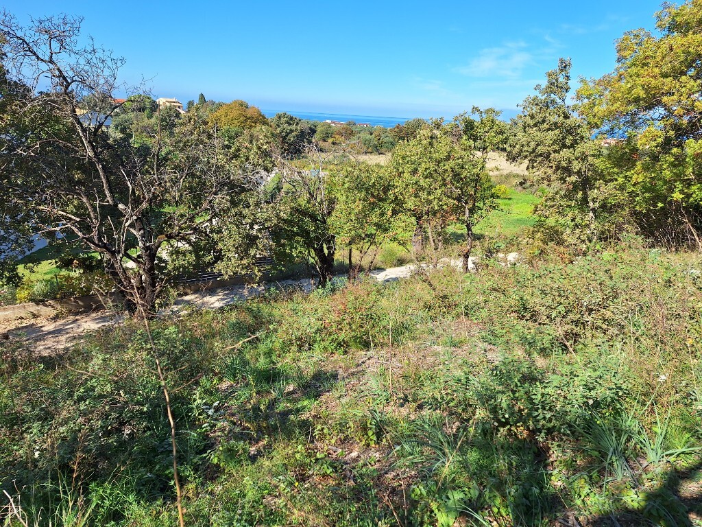 Land in Corfu, Corfu Prefecture, Greece – 61454
