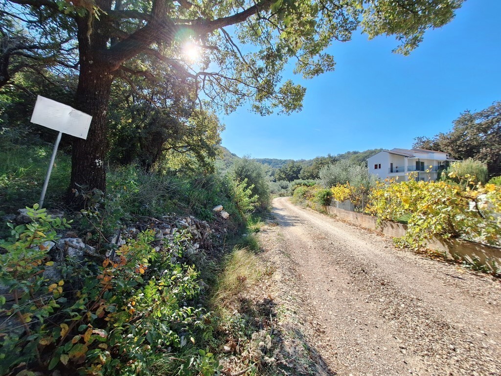 Land in Corfu, Corfu Prefecture, Greece – 61454