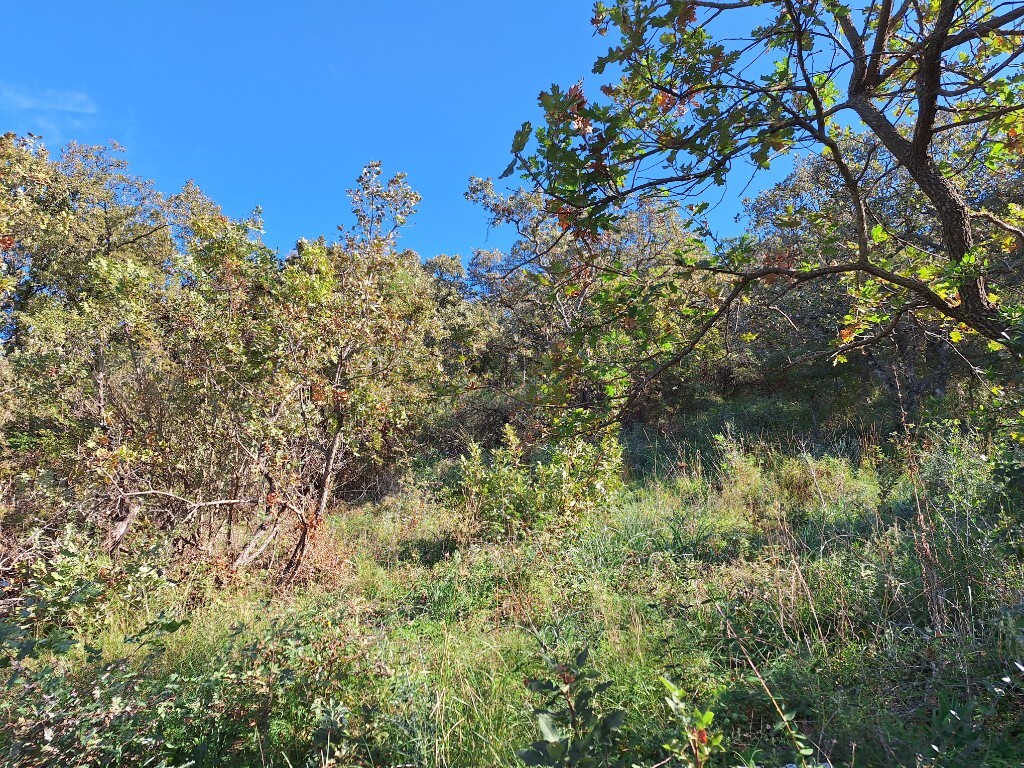 Land in Corfu, Corfu Prefecture, Greece – 61454