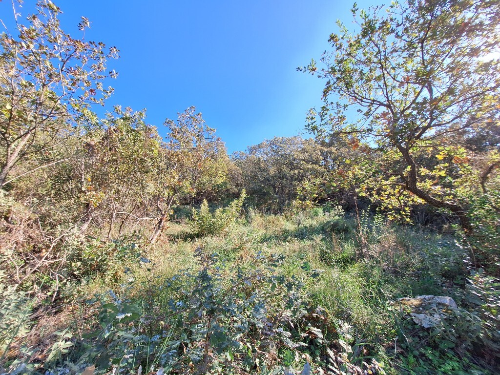 Land in Corfu, Corfu Prefecture, Greece – 61454