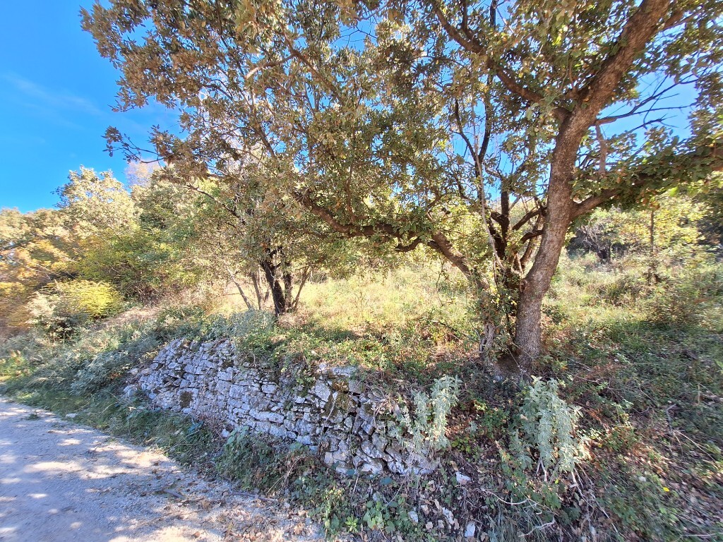Land in Corfu, Corfu Prefecture, Greece – 61454