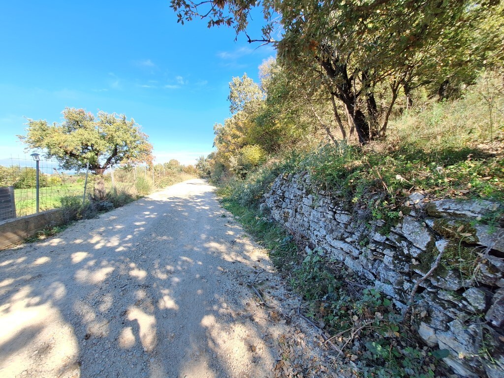 Land in Corfu, Corfu Prefecture, Greece – 61454