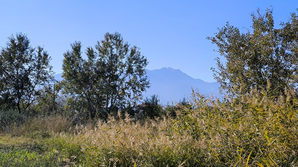 Land in Katerini, Pieria Prefecture, Greece – 61450