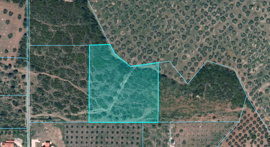 Land in Poligiros, Chalkidiki, Greece – 61412