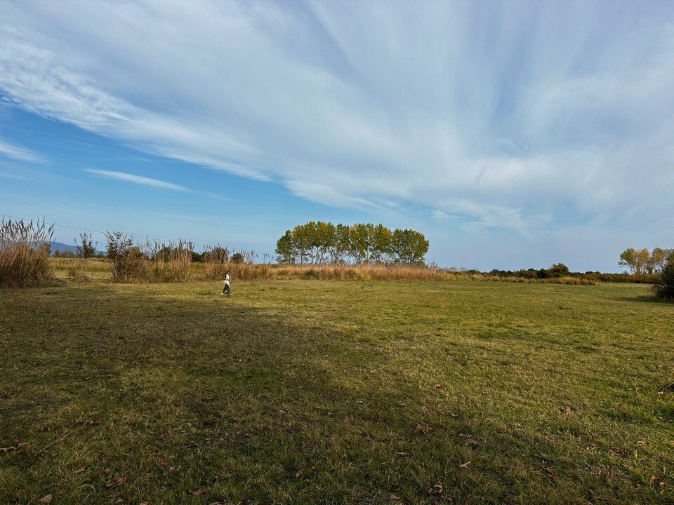 Land in Aristotle, Chalkidiki, Greece – 61406