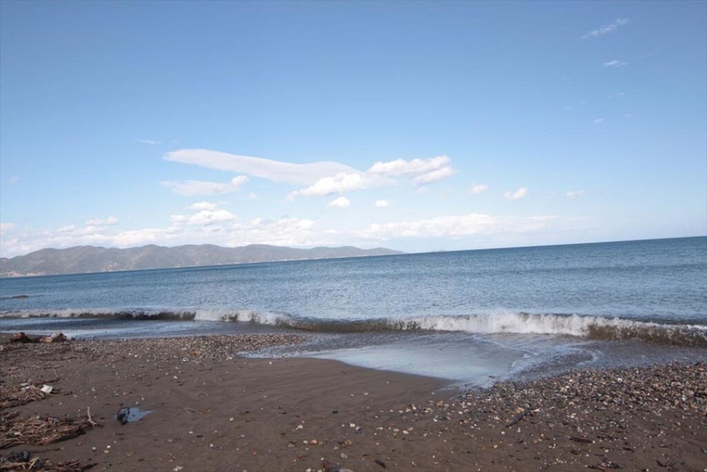 Land in Aristotle, Chalkidiki, Greece – 61406