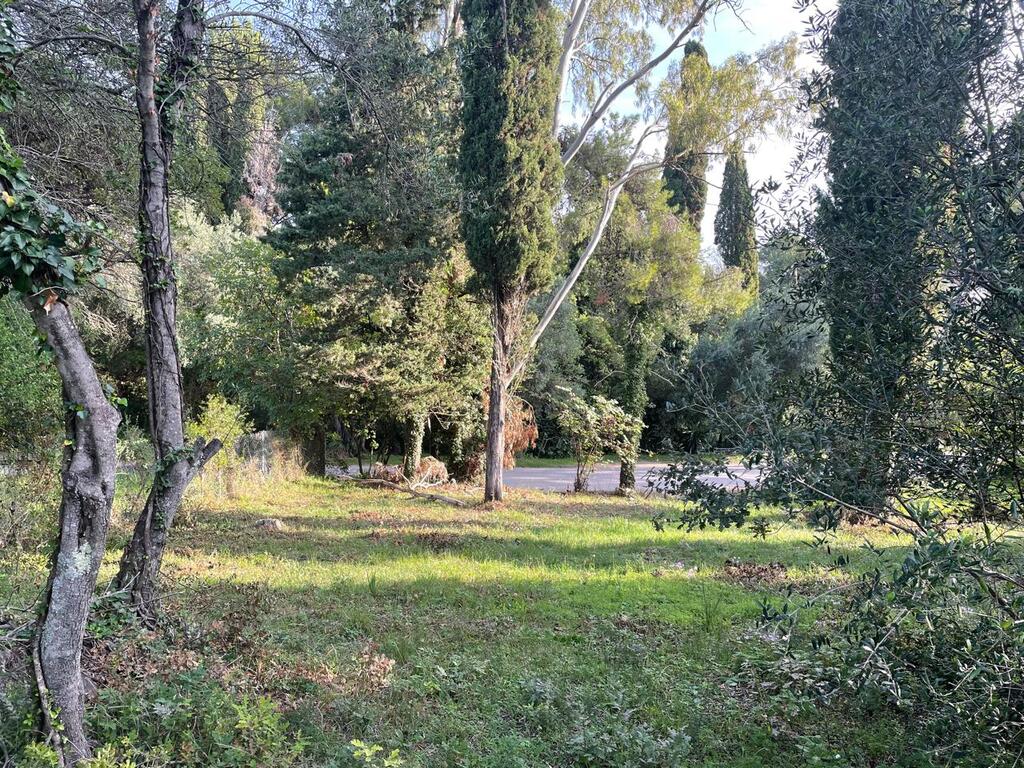 Land in Corfu, Corfu Prefecture, Greece – 61294