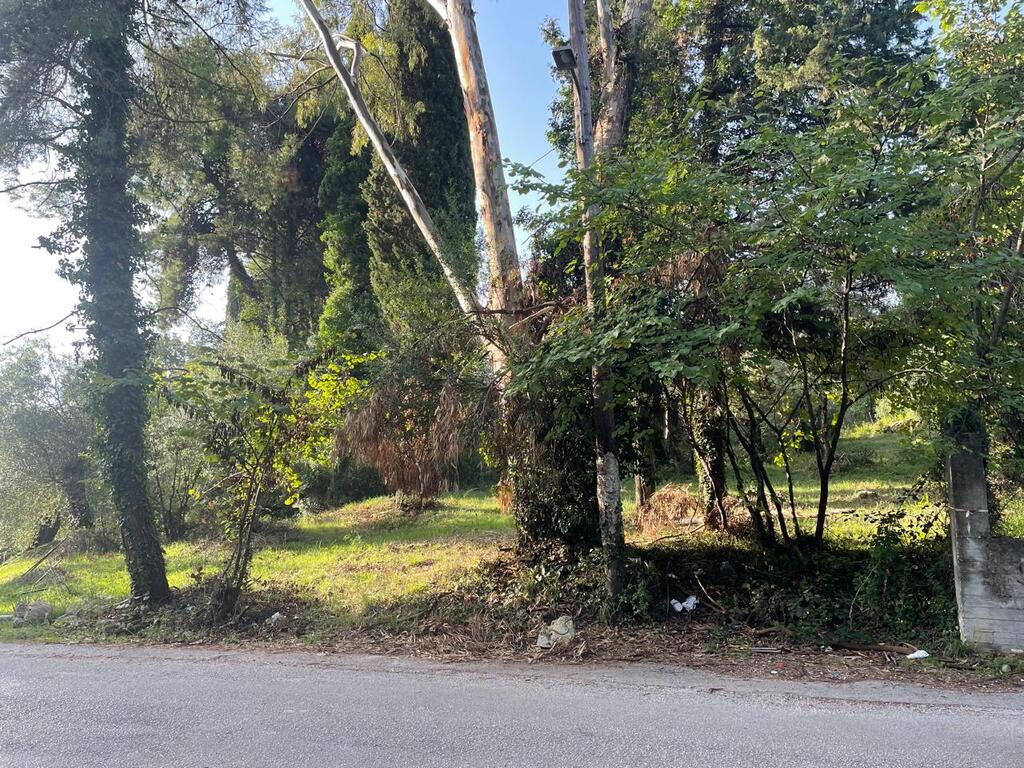 Land in Corfu, Corfu Prefecture, Greece – 61294