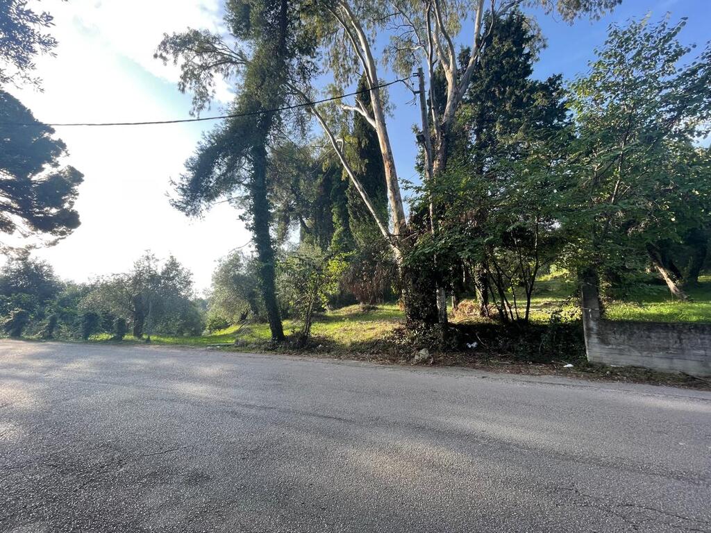 Land in Corfu, Corfu Prefecture, Greece – 61294