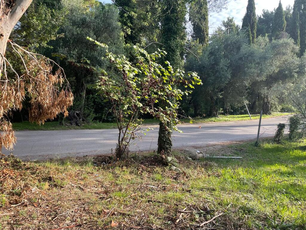Land in Corfu, Corfu Prefecture, Greece – 61294