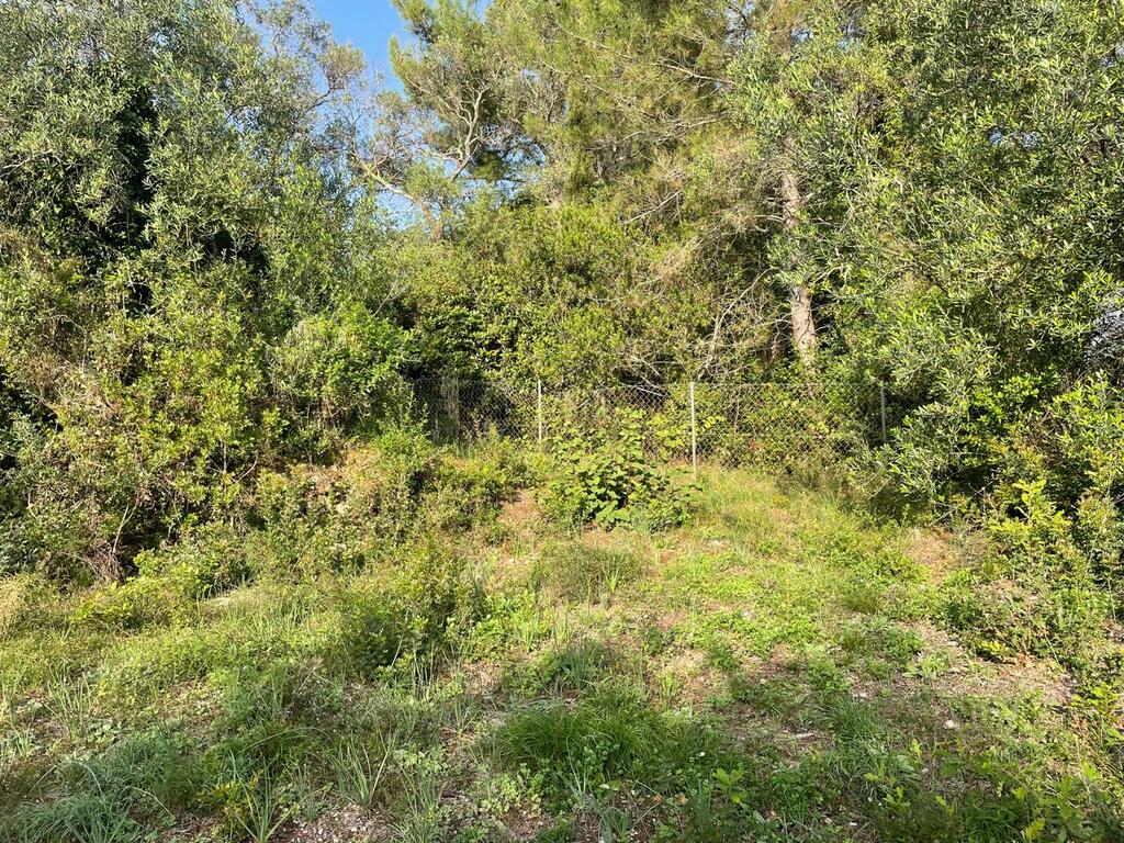 Land in Corfu, Corfu Prefecture, Greece – 61294