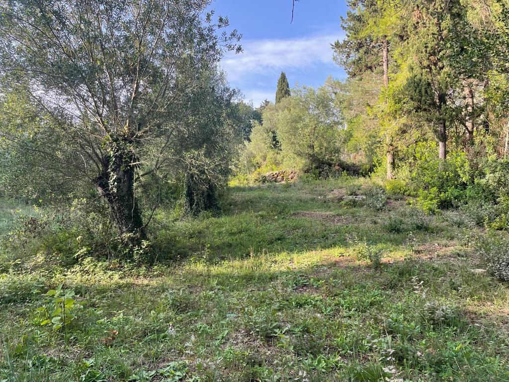 Land in Corfu, Corfu Prefecture, Greece – 61294