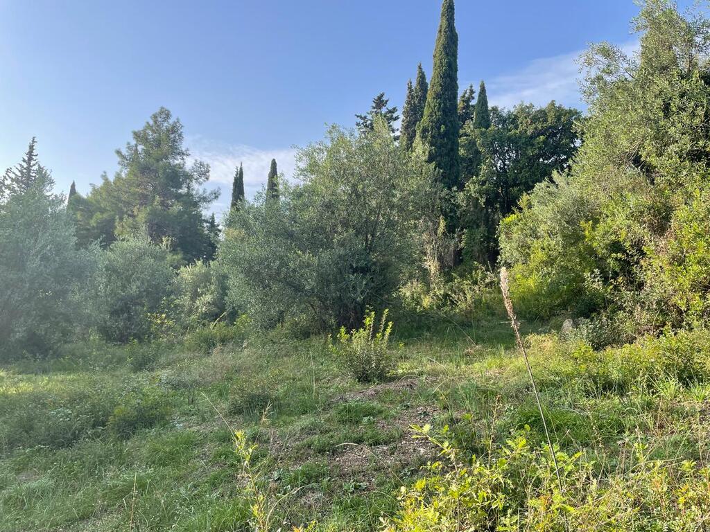 Land in Corfu, Corfu Prefecture, Greece – 61294