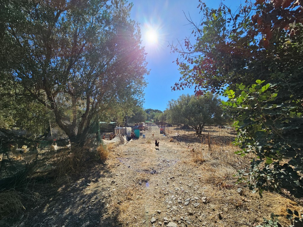 Land in Agios Nikolaos, Lasithi Prefecture, Greece – 61179