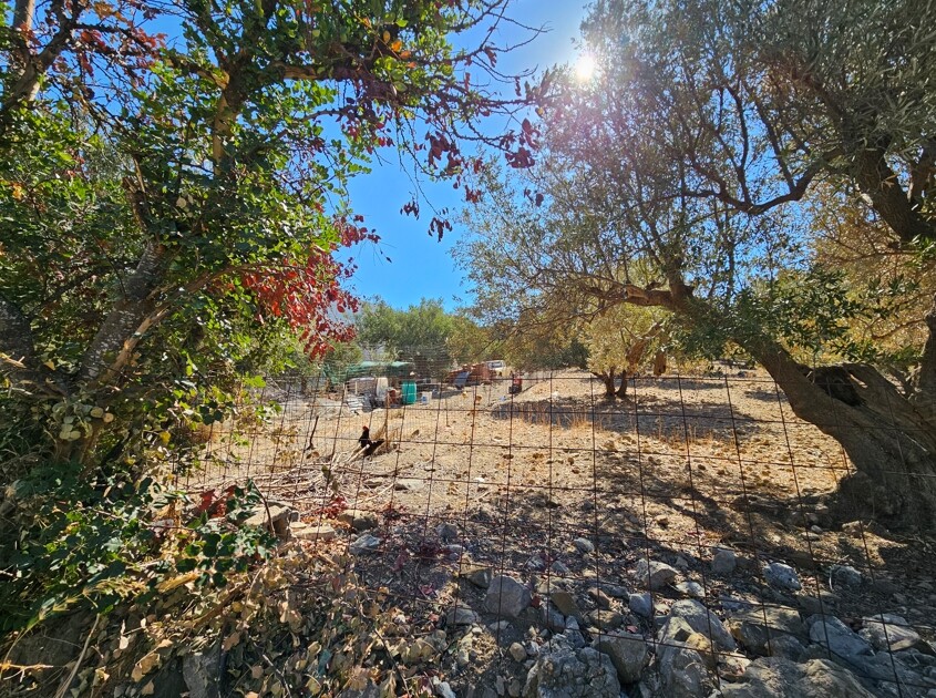 Land in Agios Nikolaos, Lasithi Prefecture, Greece – 61179