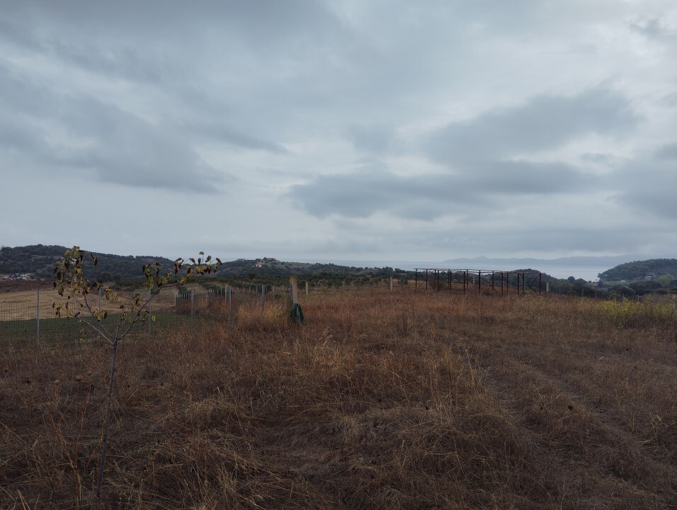 Land in Aristotle, Chalkidiki, Greece – 61090