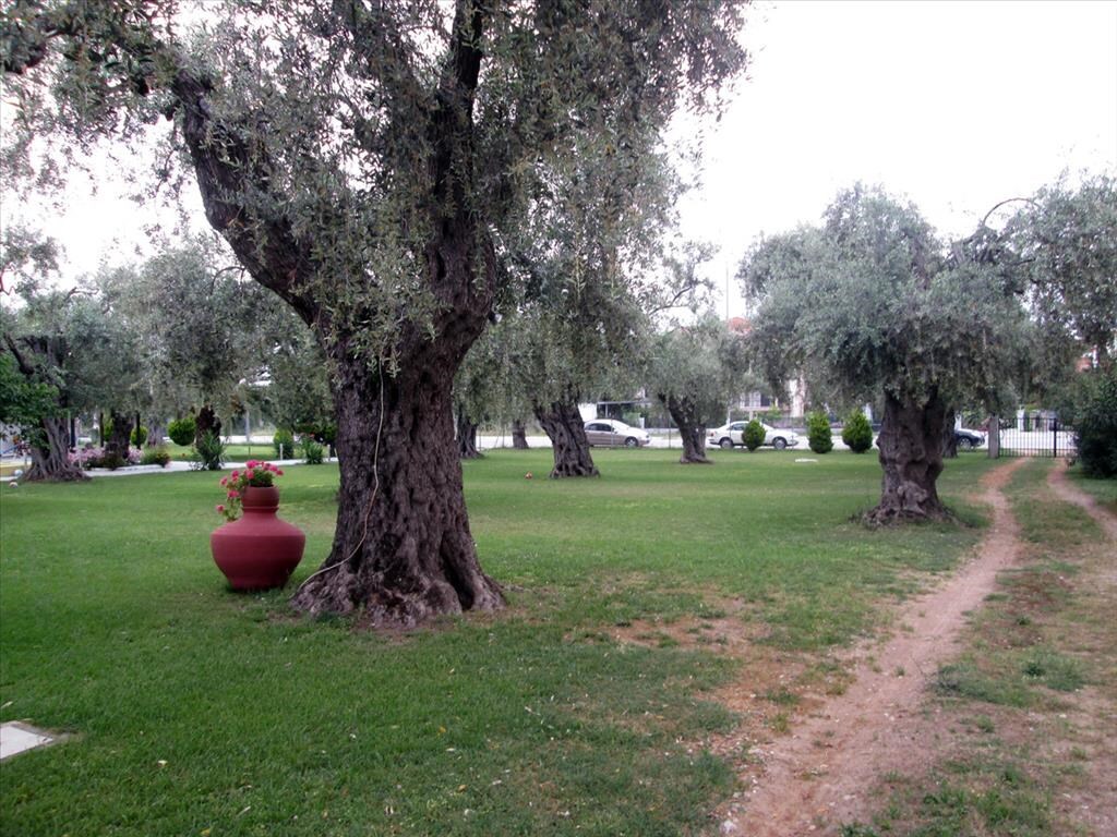 Hotel in Thasos, Kavala Prefecture, Greece – 61059