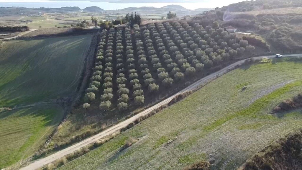 Land in Aristotle, Chalkidiki, Greece – 61055