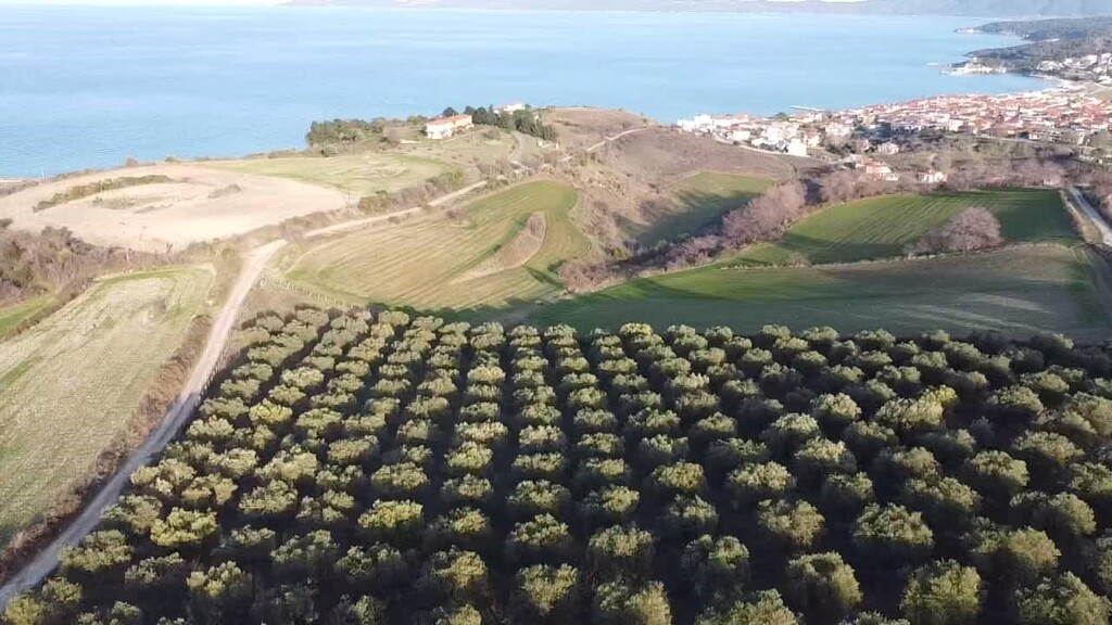 Land in Aristotle, Chalkidiki, Greece – 61055