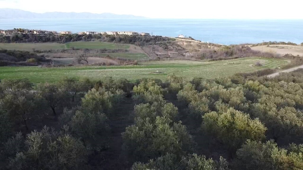 Land in Aristotle, Chalkidiki, Greece – 61055