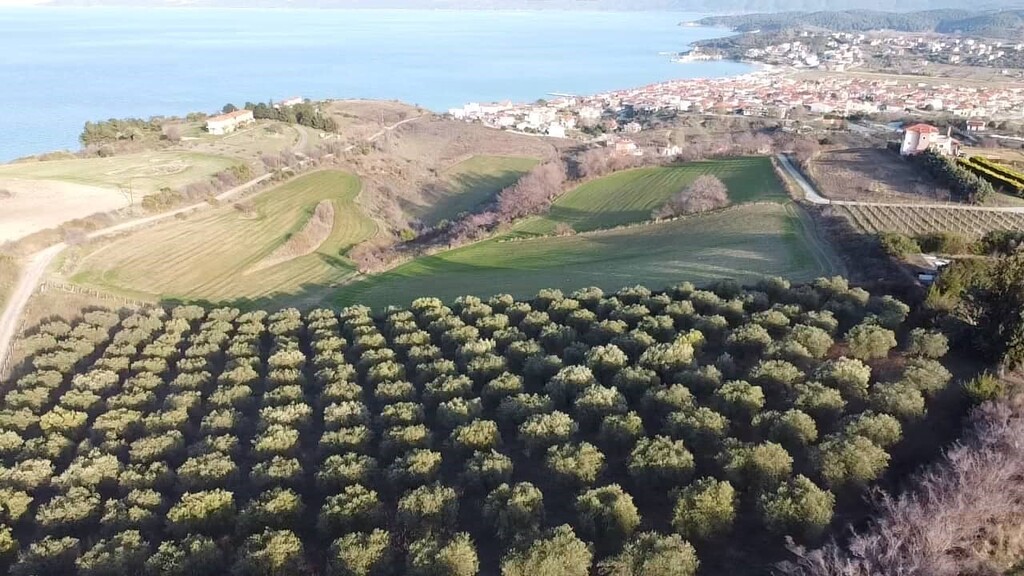 Land in Aristotle, Chalkidiki, Greece – 61055