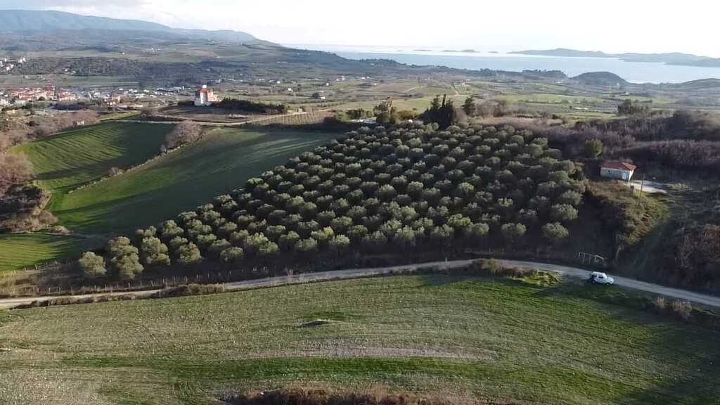 Land in Aristotle, Chalkidiki, Greece – 61055
