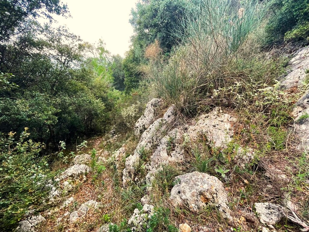Land in Corfu, Corfu Prefecture, Greece – 61051