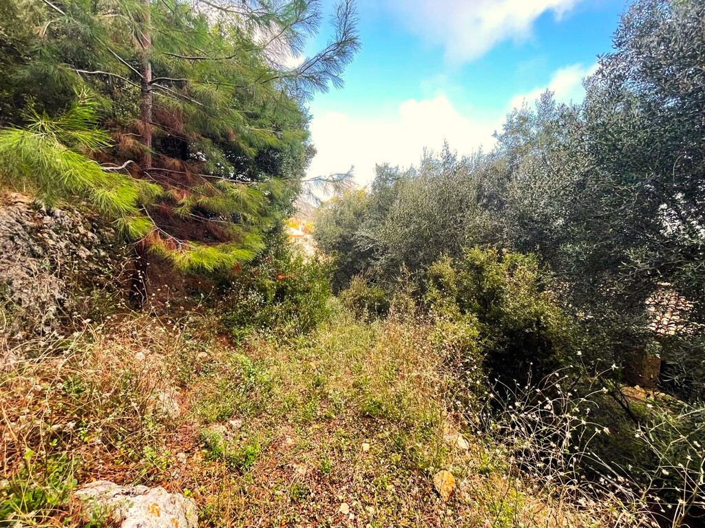 Land in Corfu, Corfu Prefecture, Greece – 61051