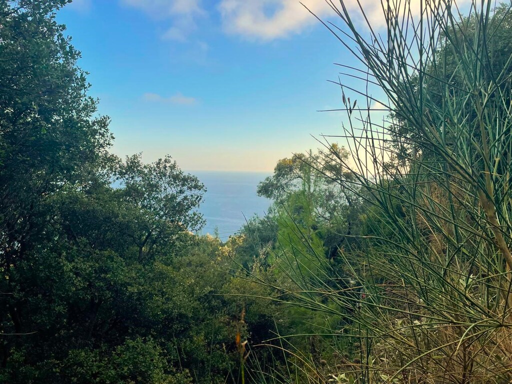 Land in Corfu, Corfu Prefecture, Greece – 61051