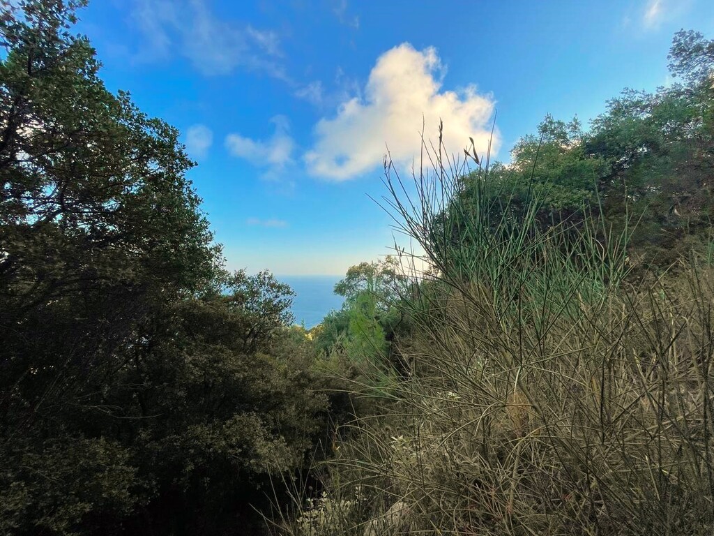 Land in Corfu, Corfu Prefecture, Greece – 61051