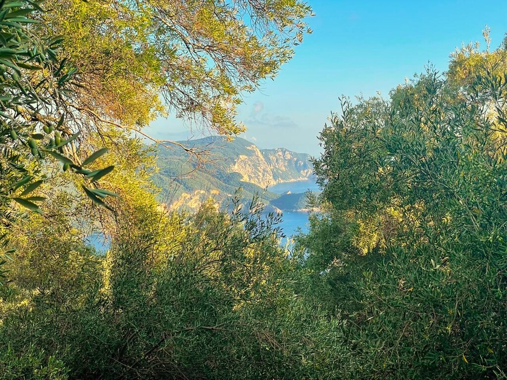 Land in Corfu, Corfu Prefecture, Greece – 61050