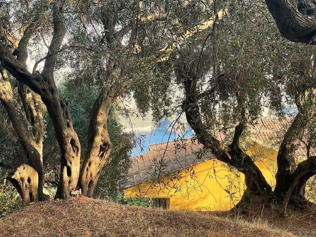 Land in Corfu, Corfu Prefecture, Greece – 61049