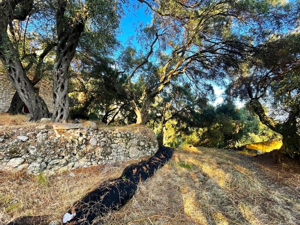 Land in Corfu, Corfu Prefecture, Greece – 61049
